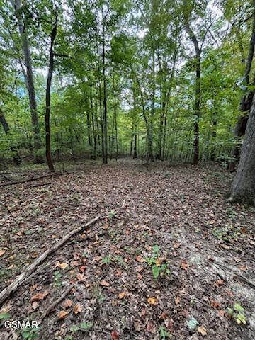Lot 2 Roberts Road Kodak TN 37764