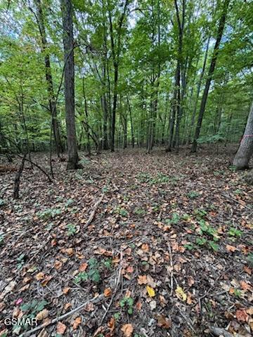 Lot 2 Roberts Road Kodak TN 37764