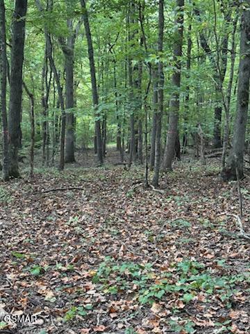 Lot 2 Roberts Road Kodak TN 37764