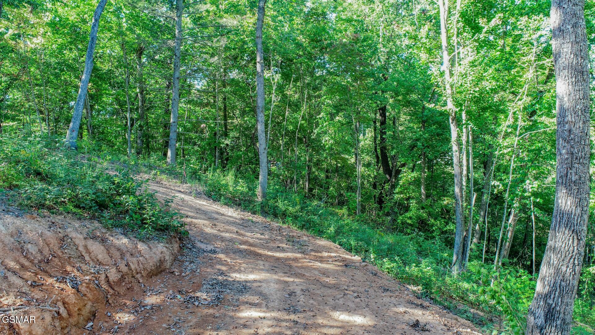 113 Huffman Way Newport TN 37821