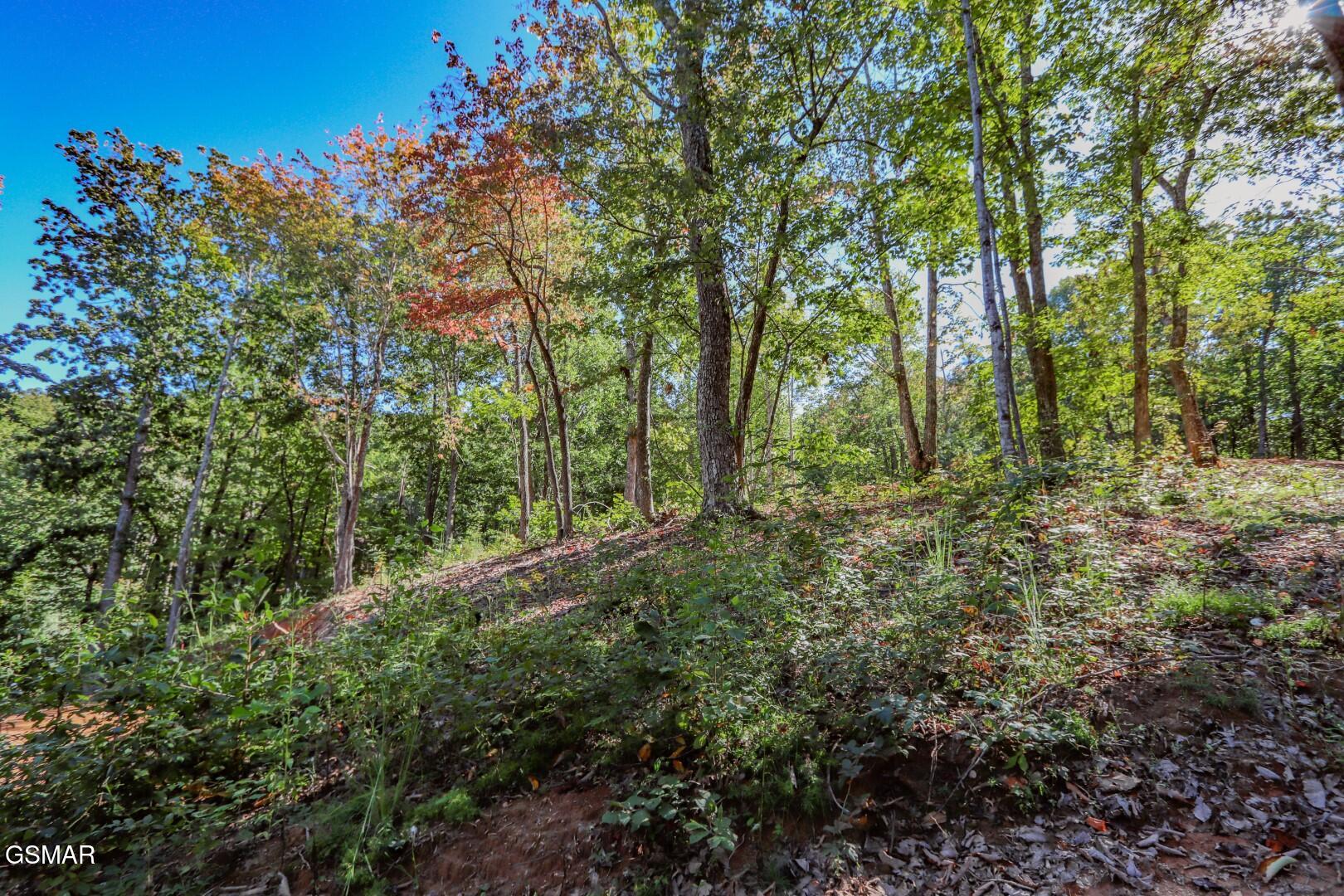 113 Huffman Way Newport TN 37821