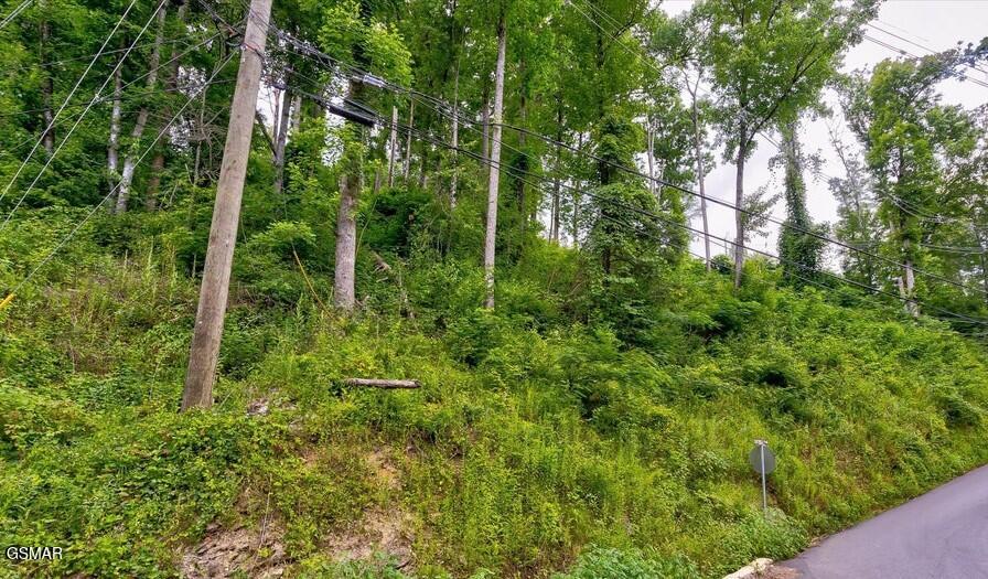329 Silverbell Lane Gatlinburg TN 37738