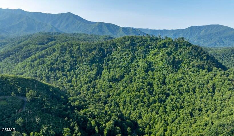 329 Silverbell Lane Gatlinburg TN 37738