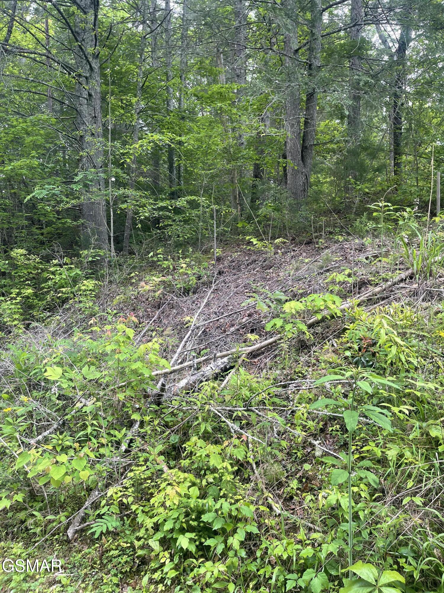 1115 Tranquility Hills Way Cosby TN 37722