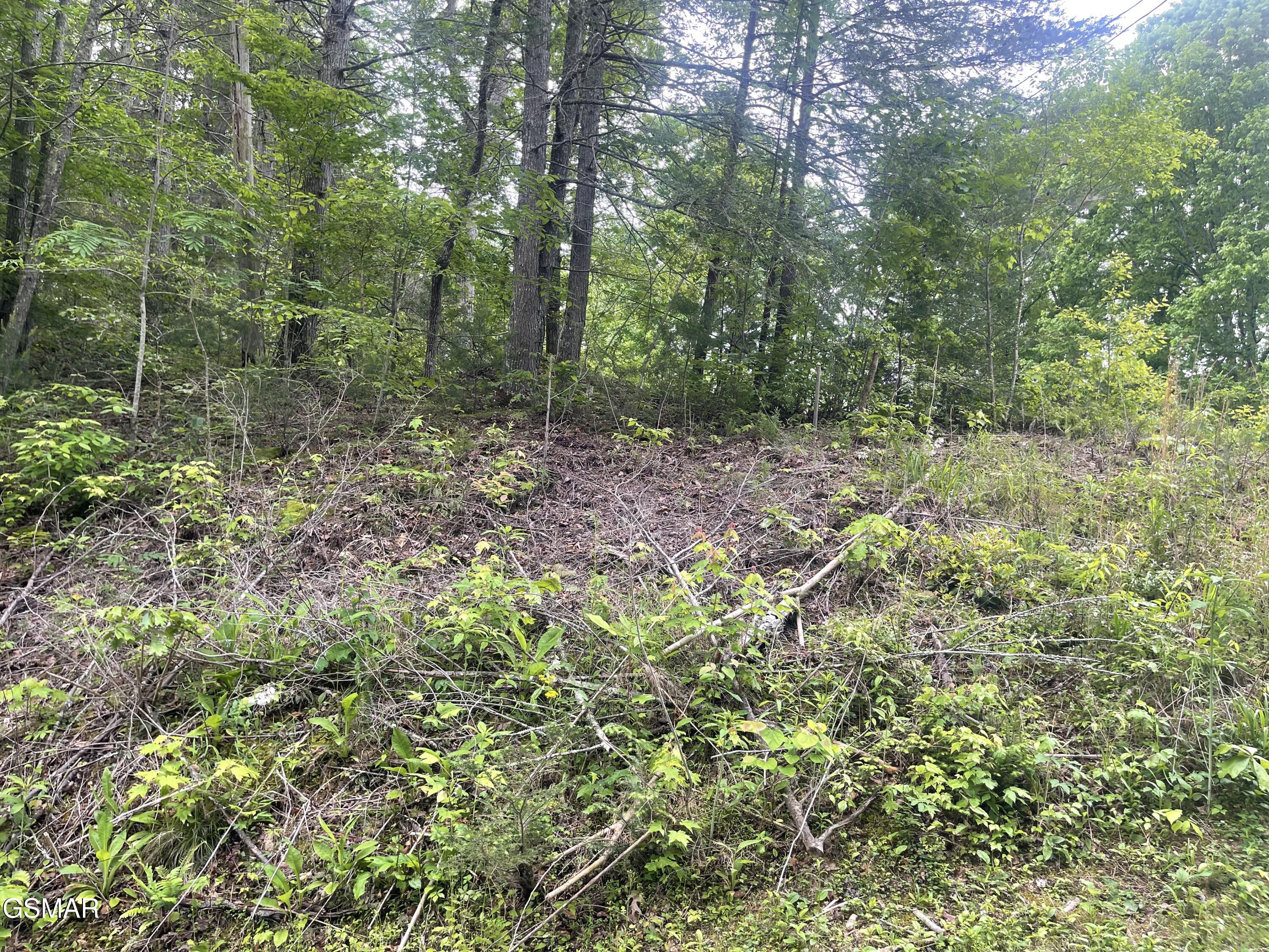 1115 Tranquility Hills Way Cosby TN 37722