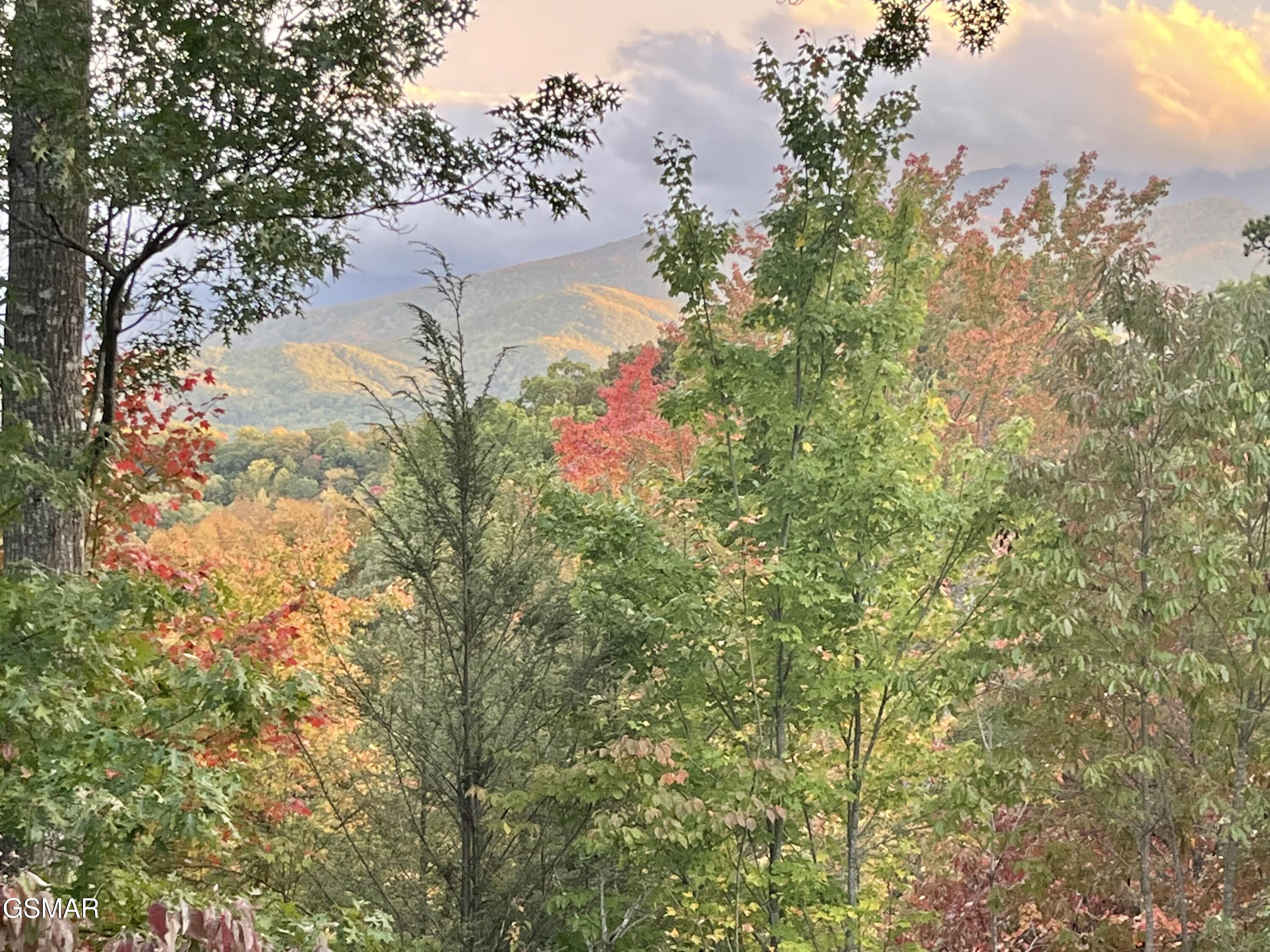 1178 Ogle Hills Road Gatlinburg TN 37738