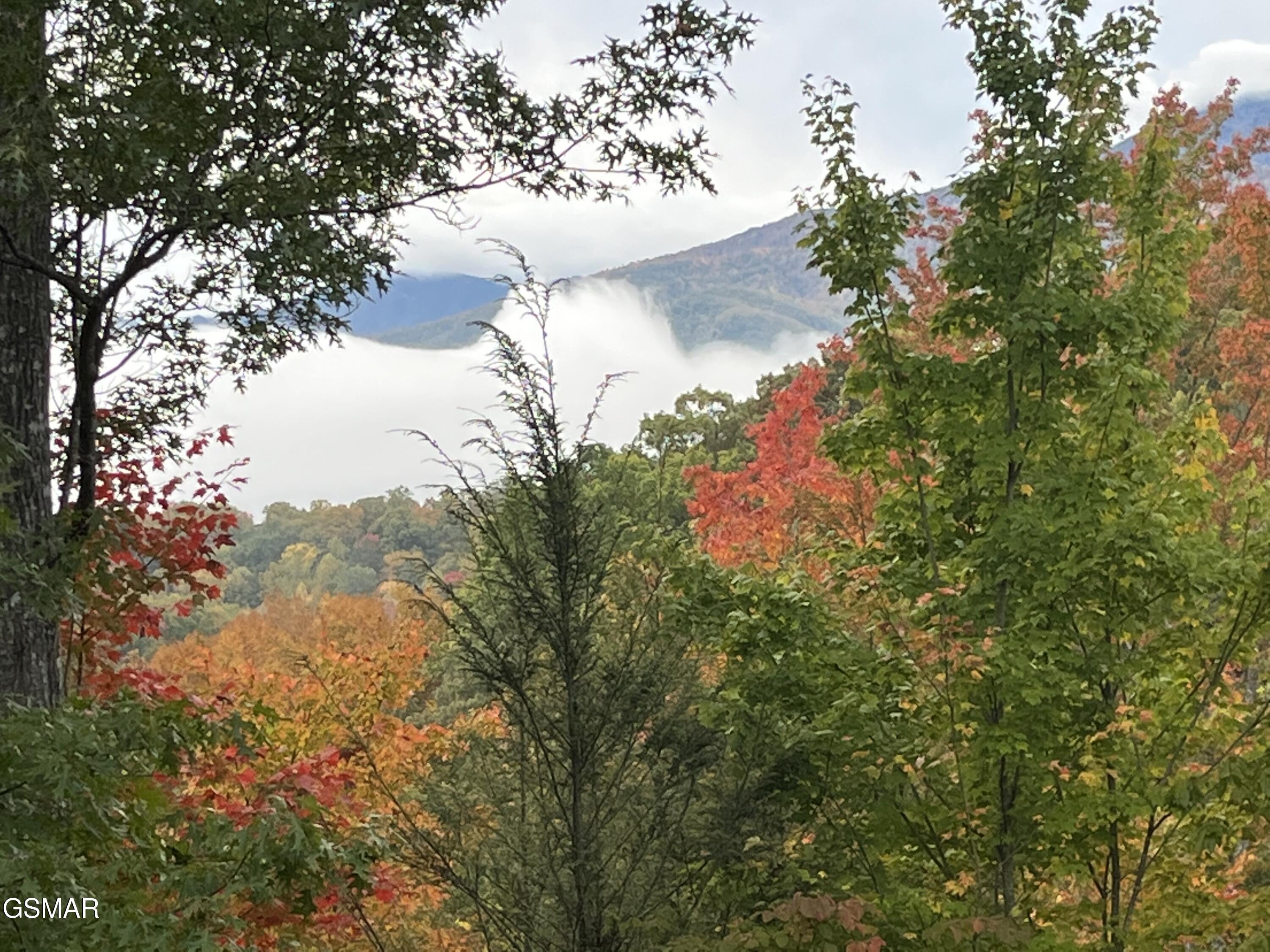 1178 Ogle Hills Road Gatlinburg TN 37738