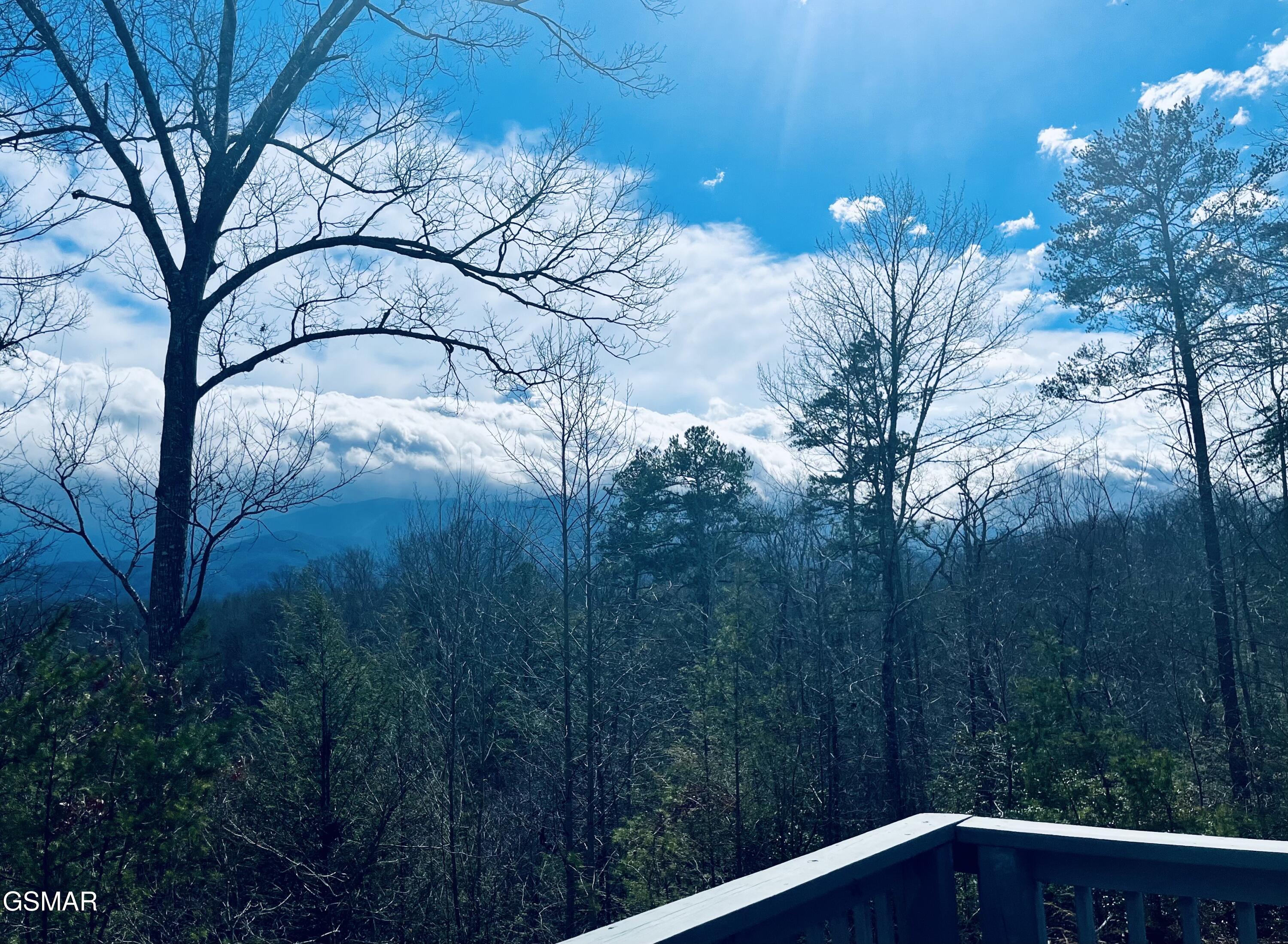 1178 Ogle Hills Road Gatlinburg TN 37738