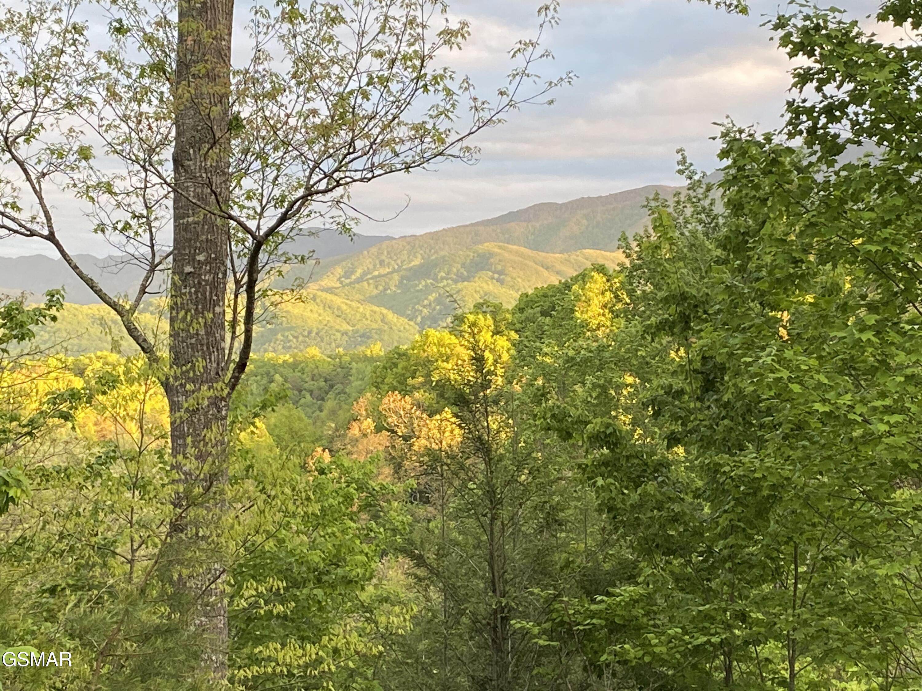 1178 Ogle Hills Road Gatlinburg TN 37738