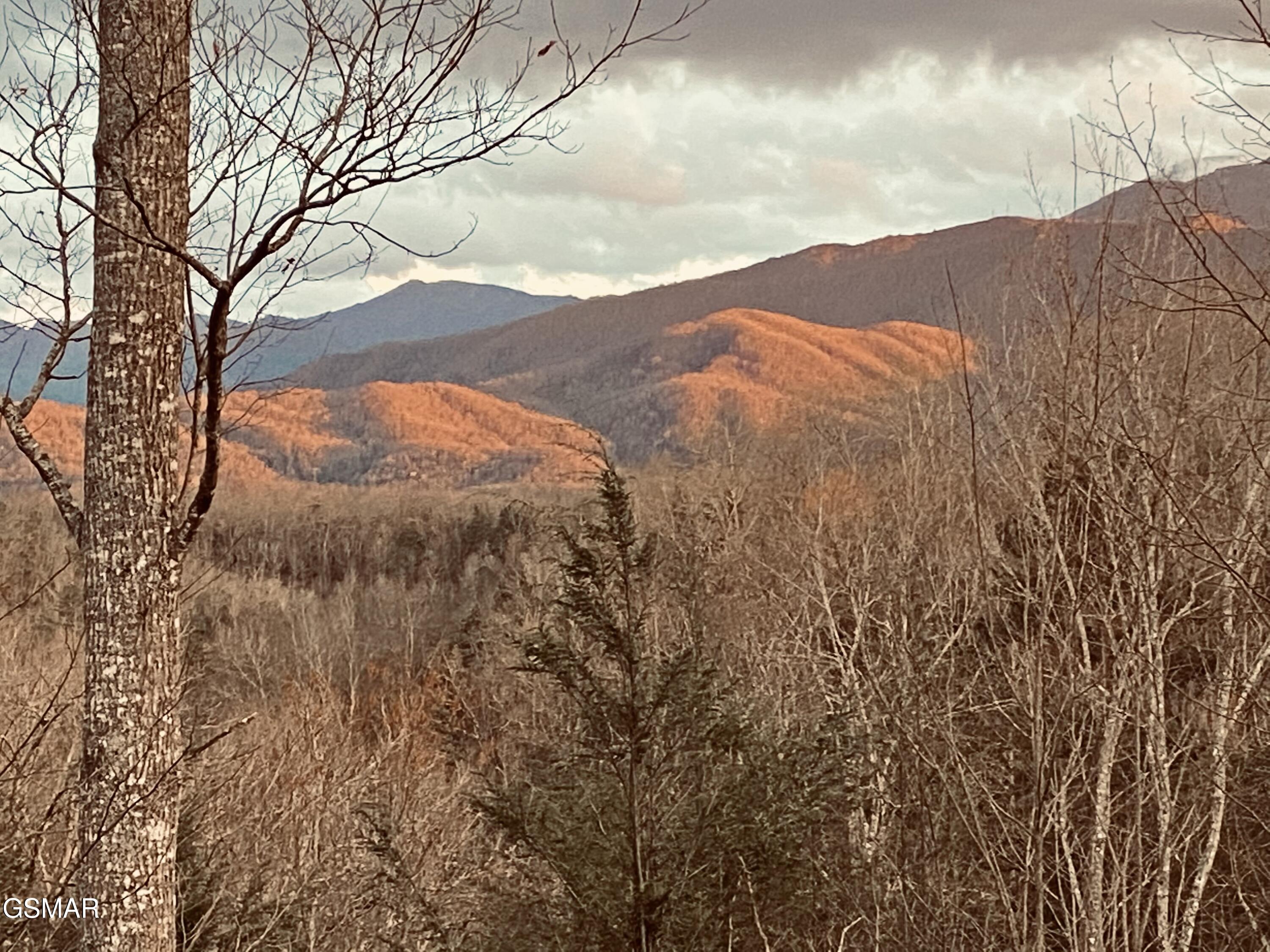 1178 Ogle Hills Road Gatlinburg TN 37738
