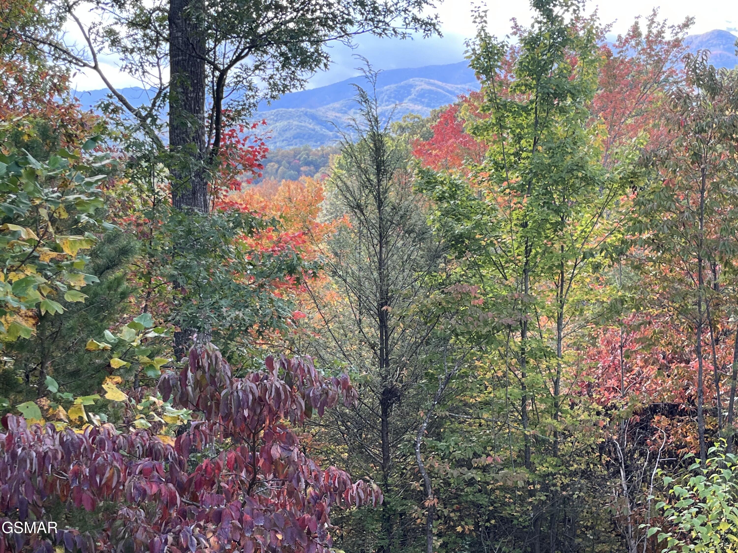 1178 Ogle Hills Road Gatlinburg TN 37738