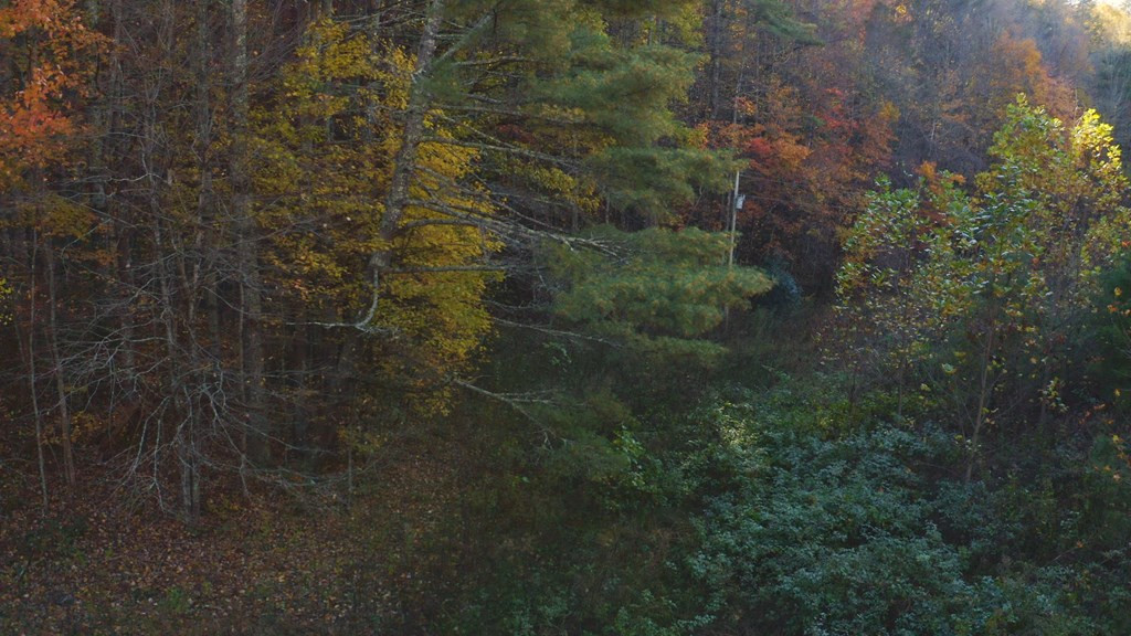 410 Seay Hollow Road Del Rio TN 37727