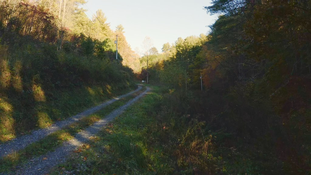 410 Seay Hollow Road Del Rio TN 37727