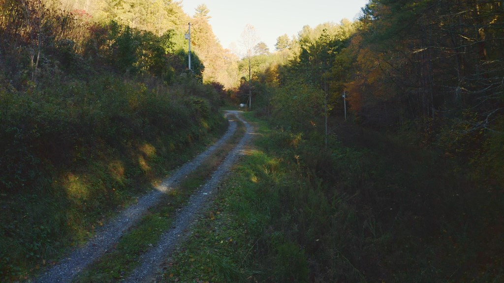 410 Seay Hollow Road Del Rio TN 37727