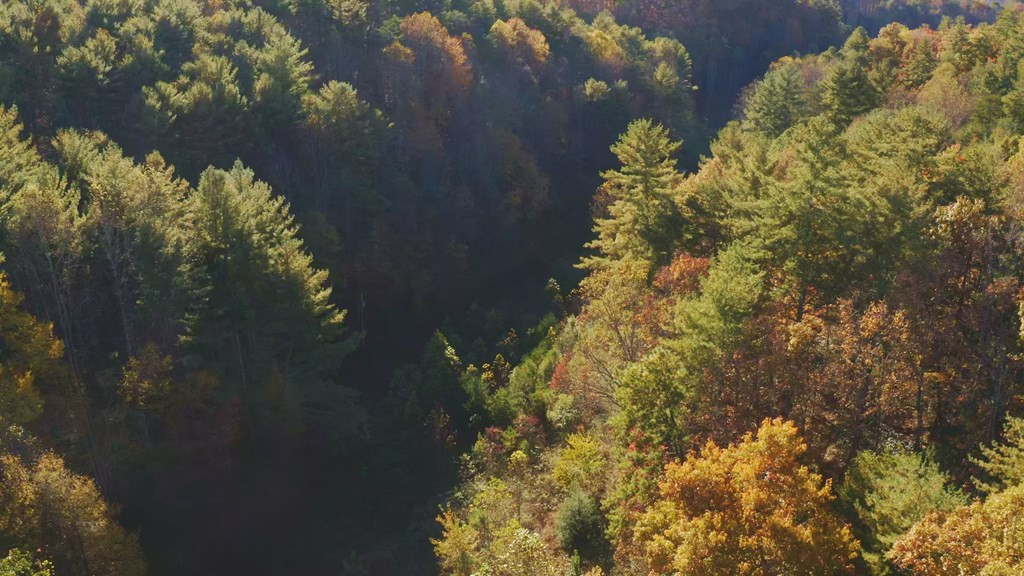 410 Seay Hollow Road Del Rio TN 37727