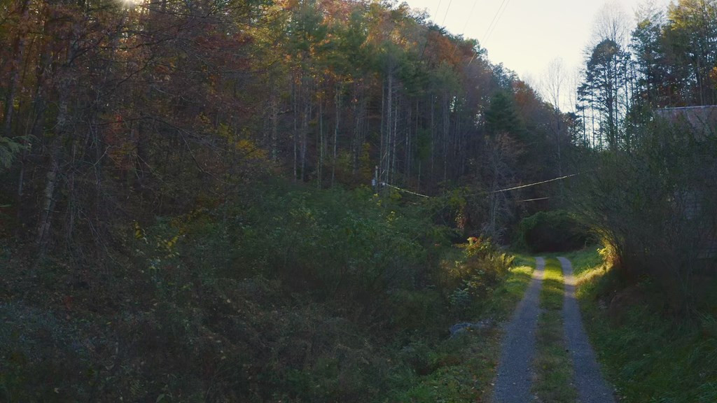 410 Seay Hollow Road Del Rio TN 37727