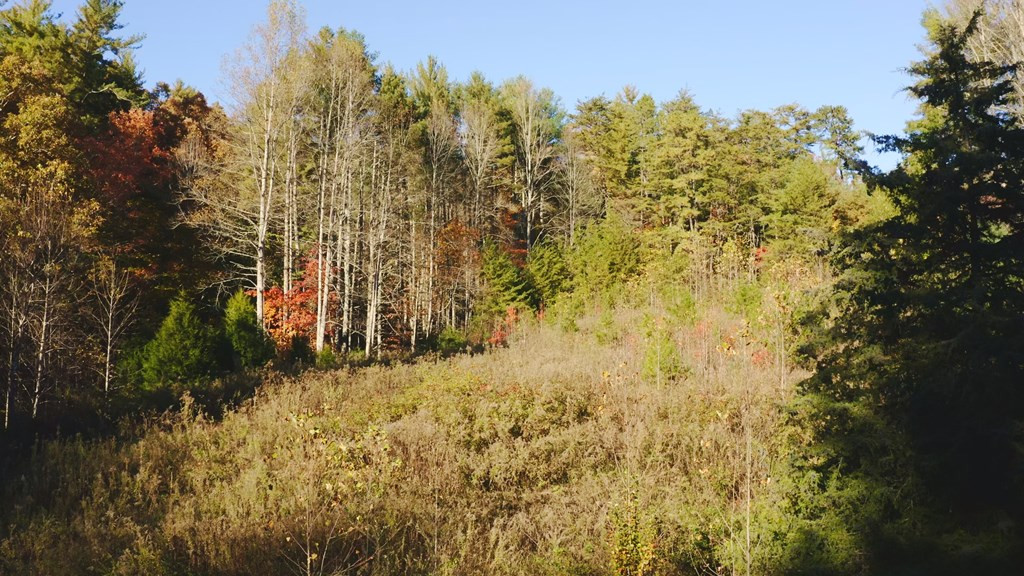 410 Seay Hollow Road Del Rio TN 37727