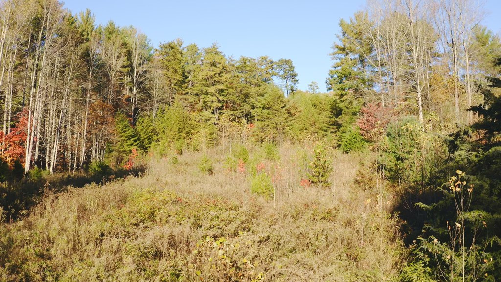 410 Seay Hollow Road Del Rio TN 37727