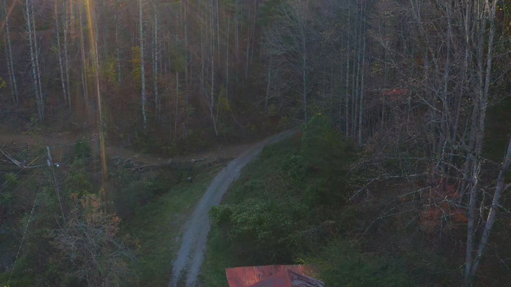 410 Seay Hollow Road Del Rio TN 37727