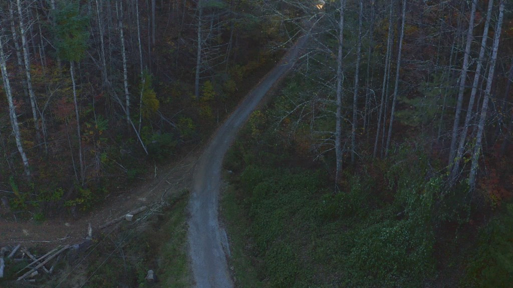 410 Seay Hollow Road Del Rio TN 37727