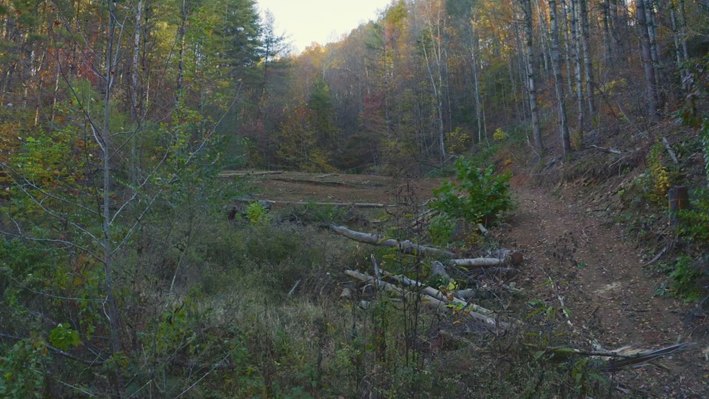 410 Seay Hollow Road Del Rio TN 37727