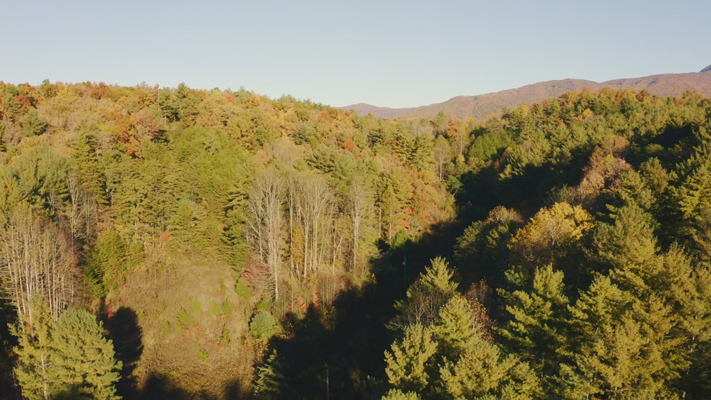 410 Seay Hollow Road Del Rio TN 37727