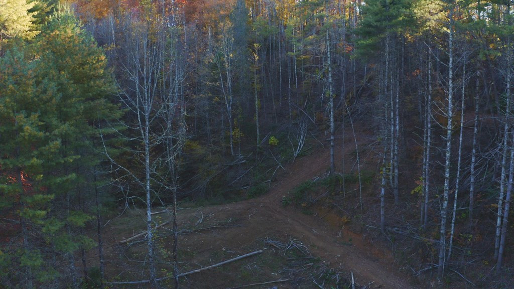 410 Seay Hollow Road Del Rio TN 37727