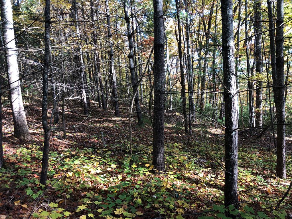410 Seay Hollow Road Del Rio TN 37727