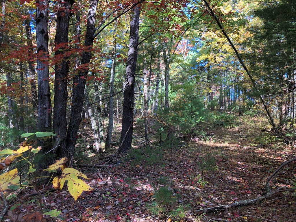 410 Seay Hollow Road Del Rio TN 37727