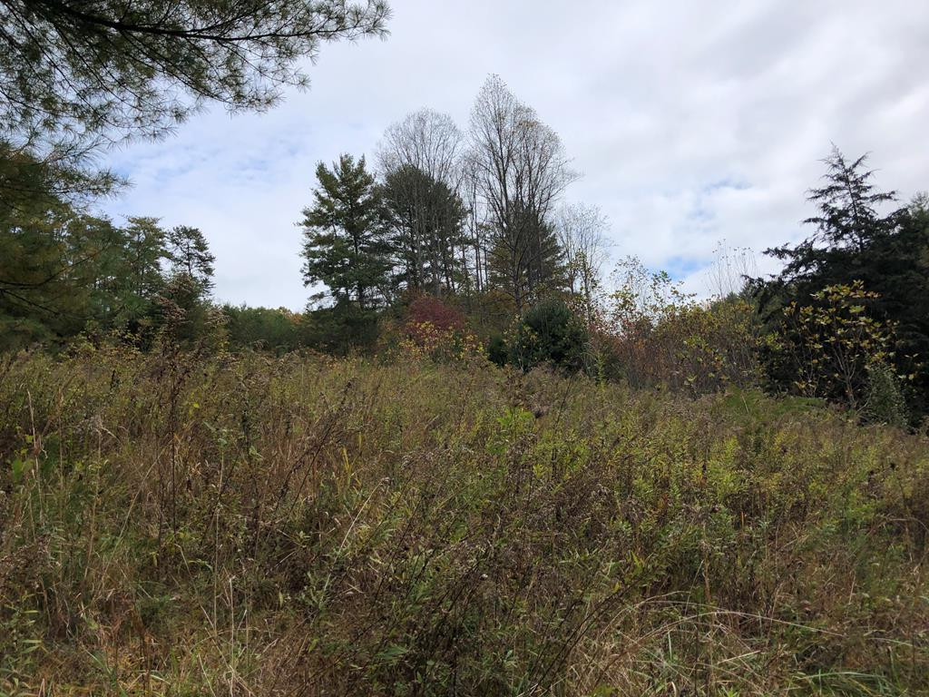 410 Seay Hollow Road Del Rio TN 37727