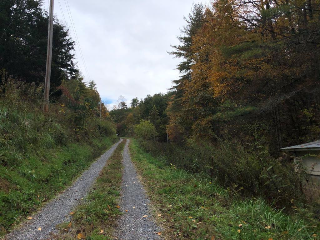 410 Seay Hollow Road Del Rio TN 37727