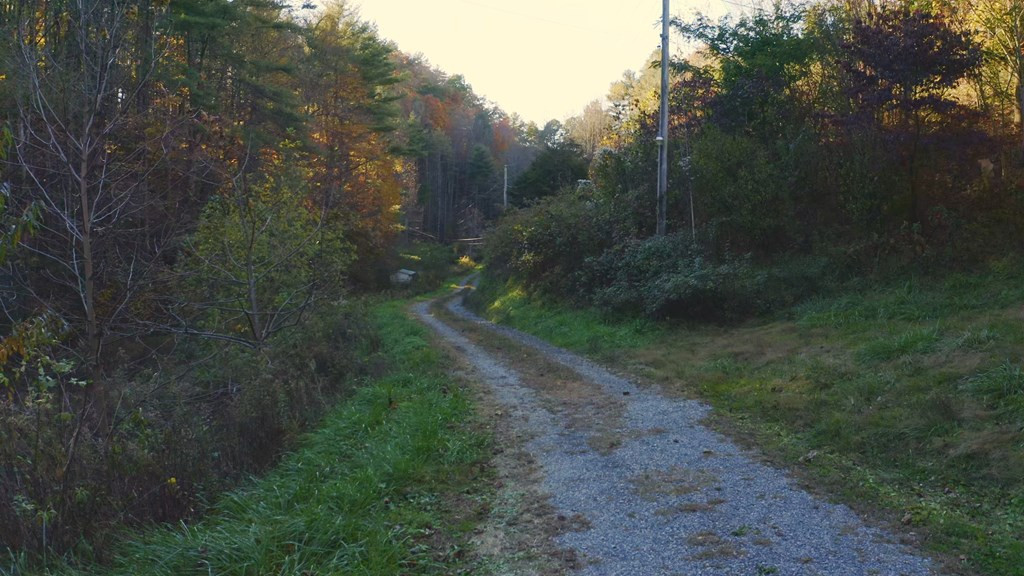 410 Seay Hollow Road Del Rio TN 37727
