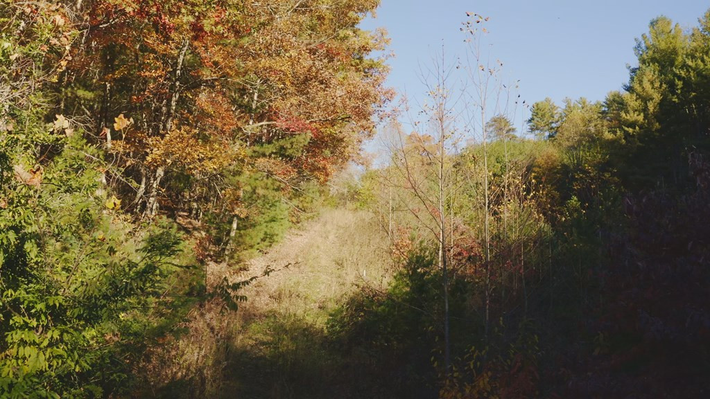 410 Seay Hollow Road Del Rio TN 37727