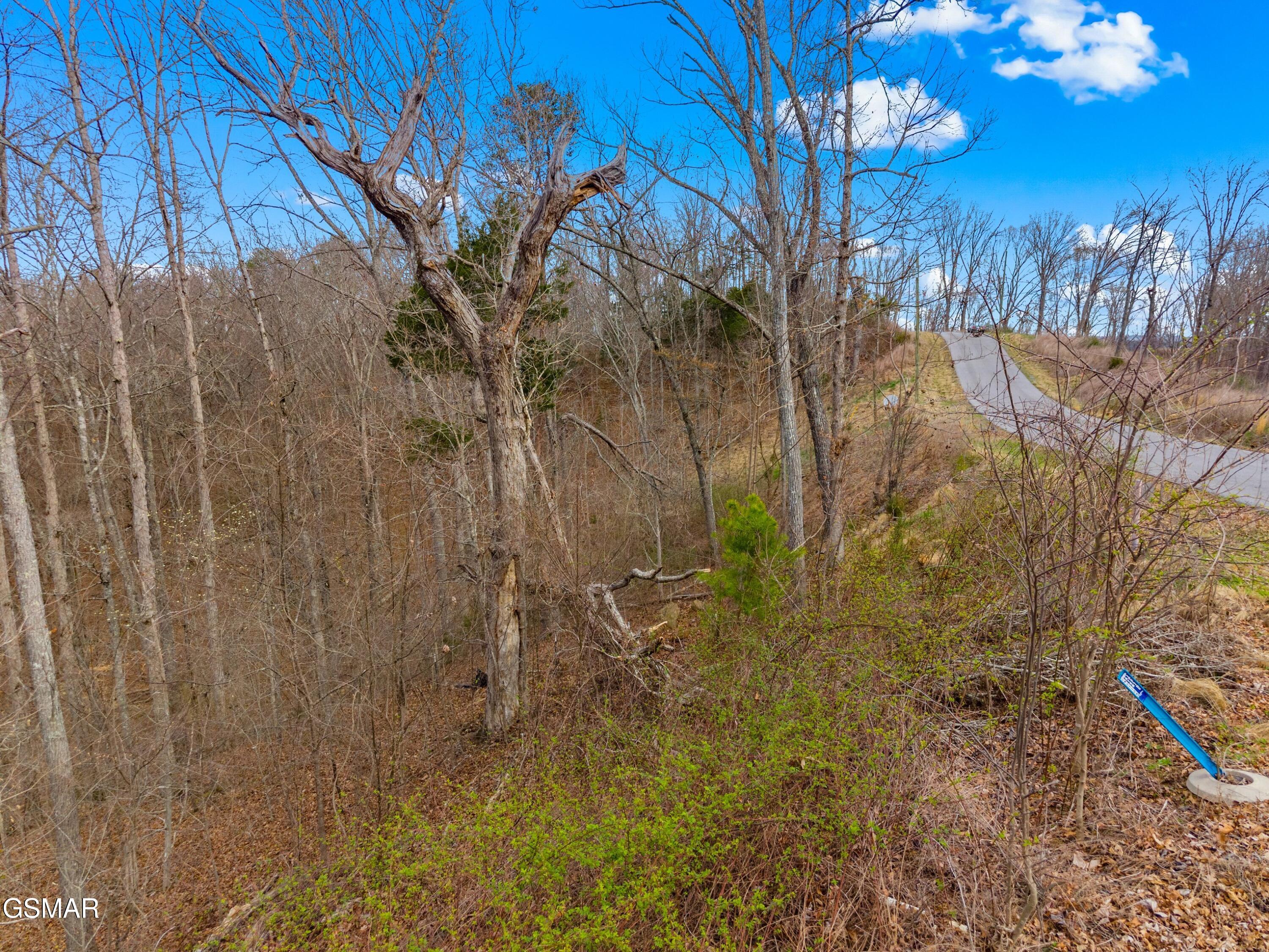 1530 Waterside Cove Drive Dandridge TN 37725