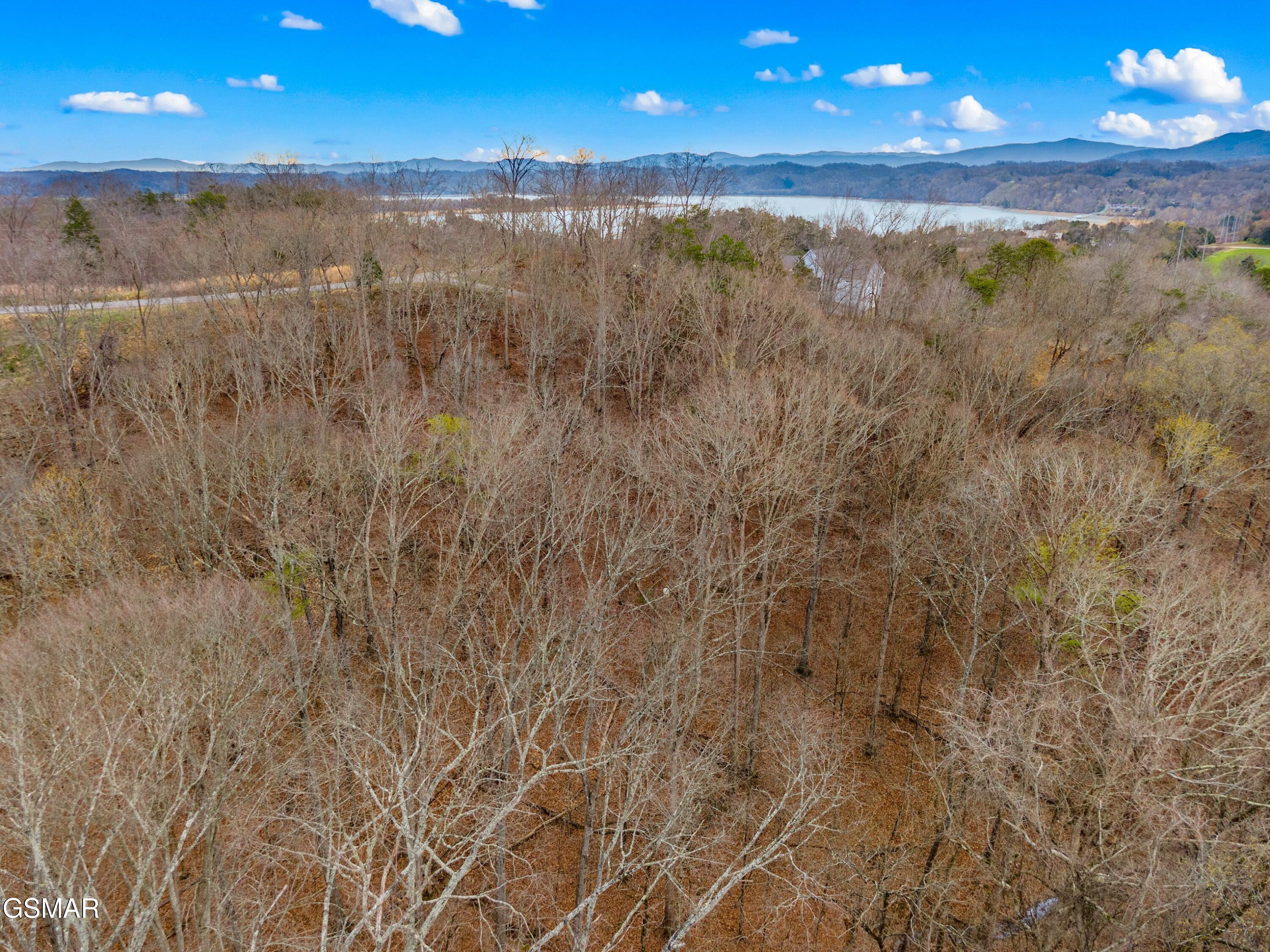 1530 Waterside Cove Drive Dandridge TN 37725