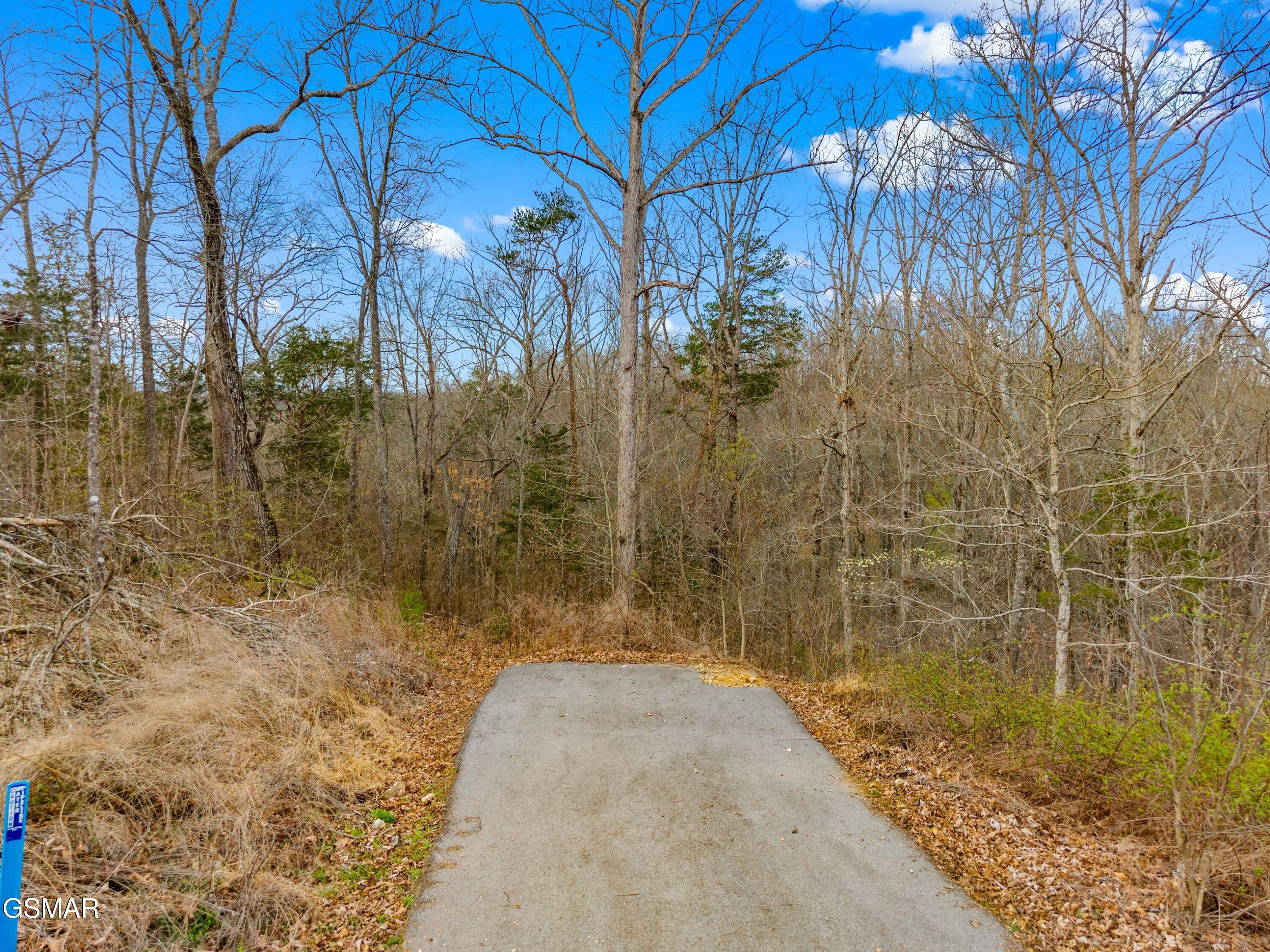 1530 Waterside Cove Drive Dandridge TN 37725