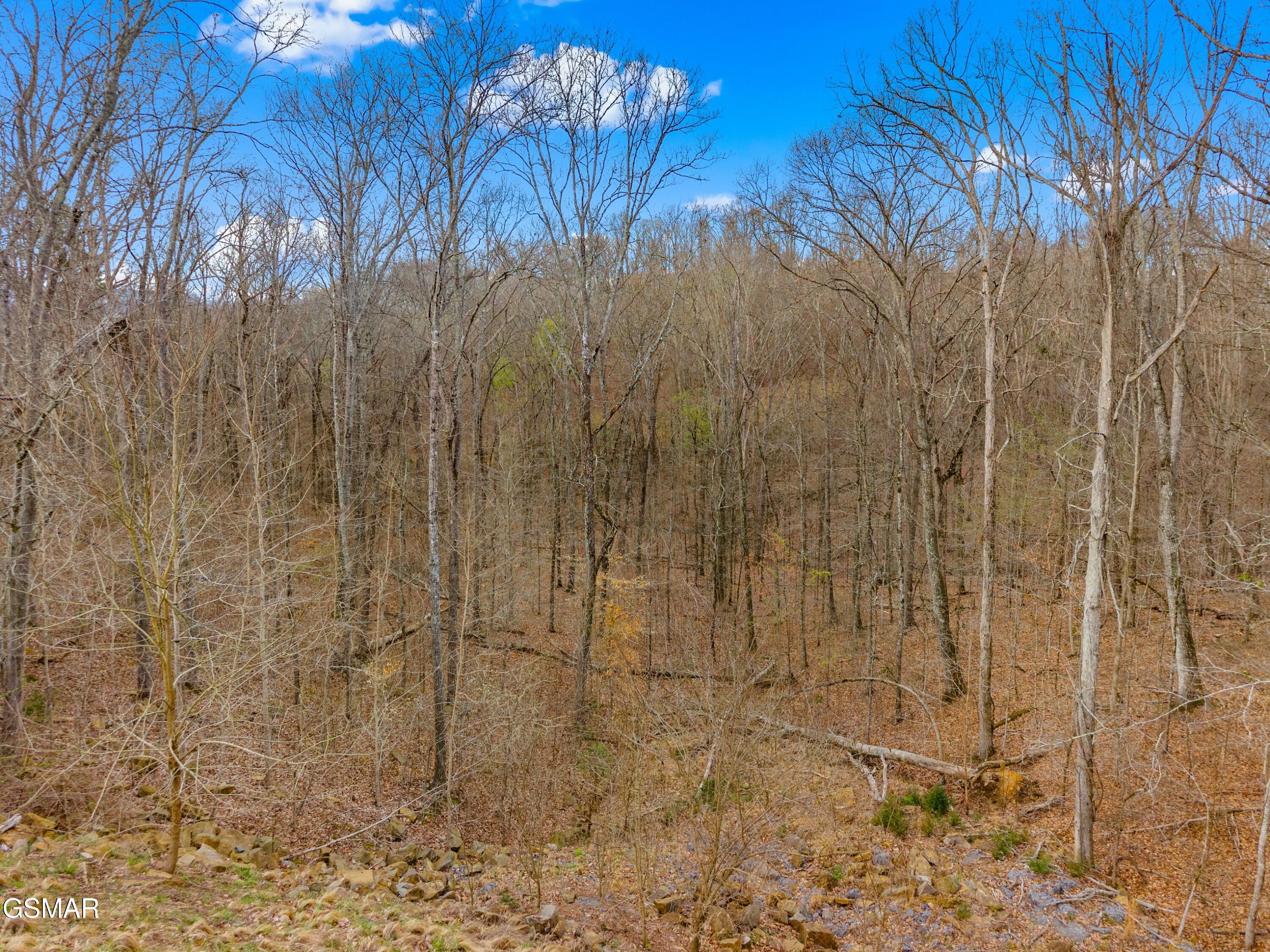 1530 Waterside Cove Drive Dandridge TN 37725