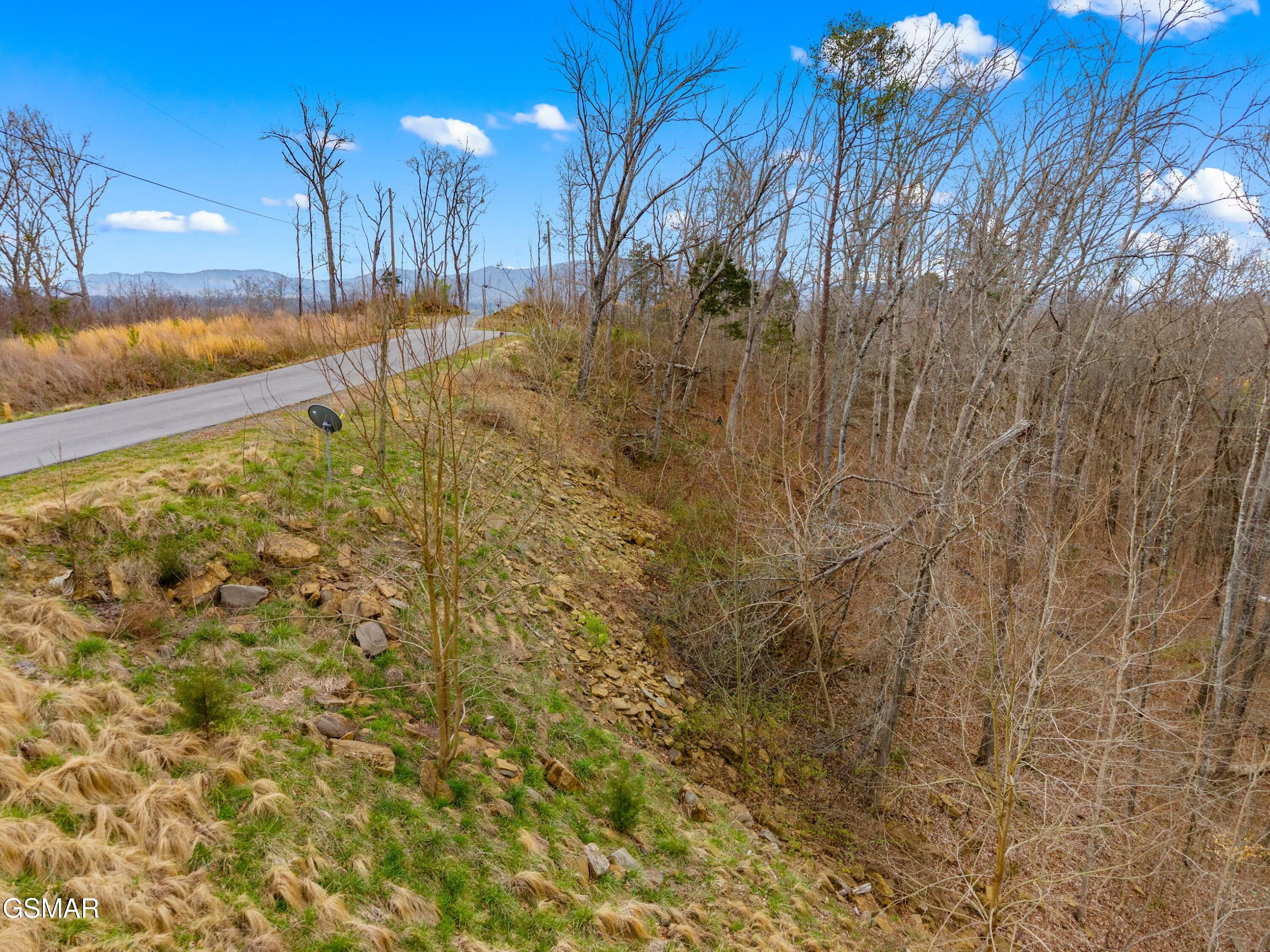 1530 Waterside Cove Drive Dandridge TN 37725