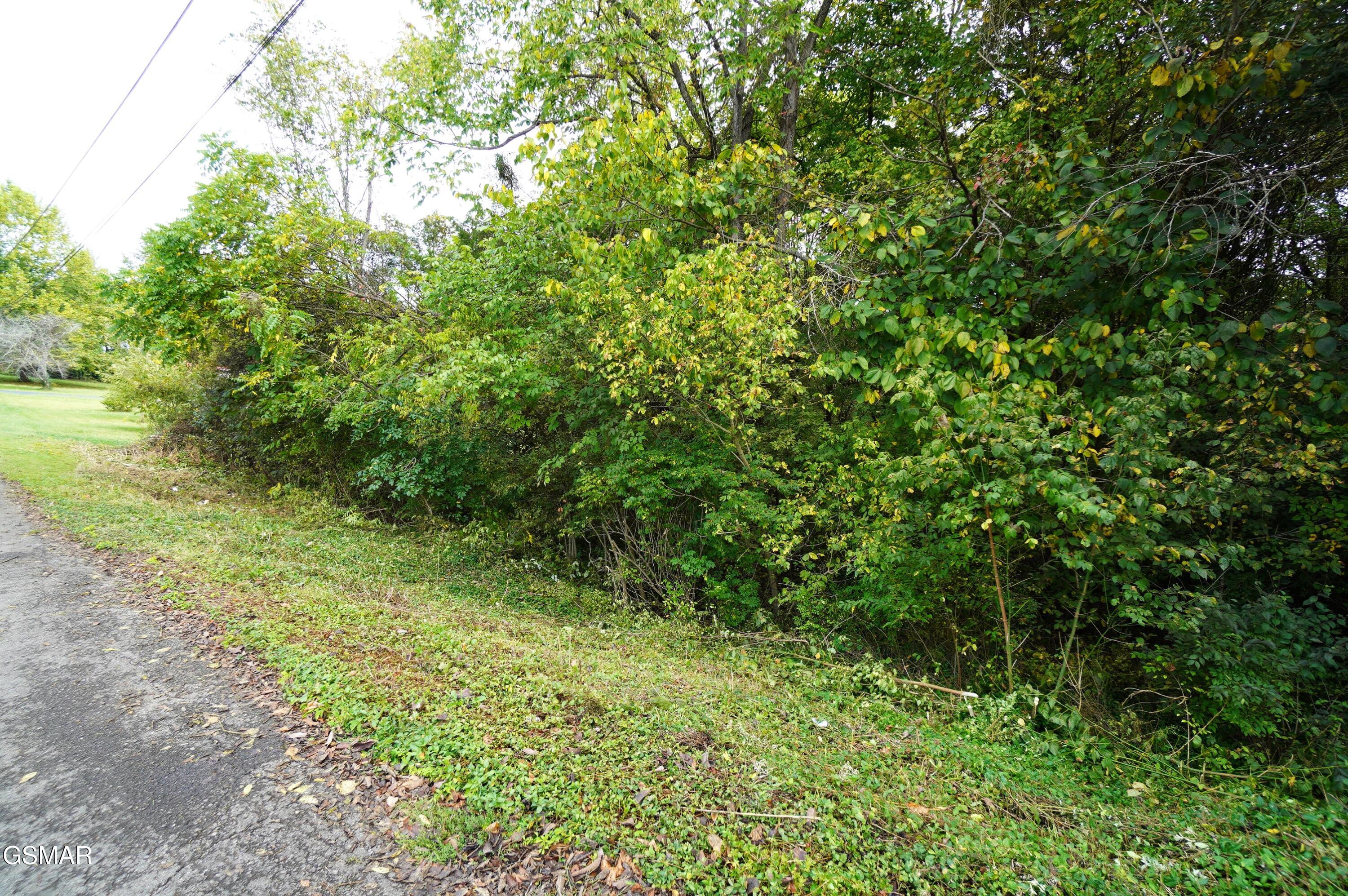 Lots 15 West View Drive Strawberry Plains TN 37871