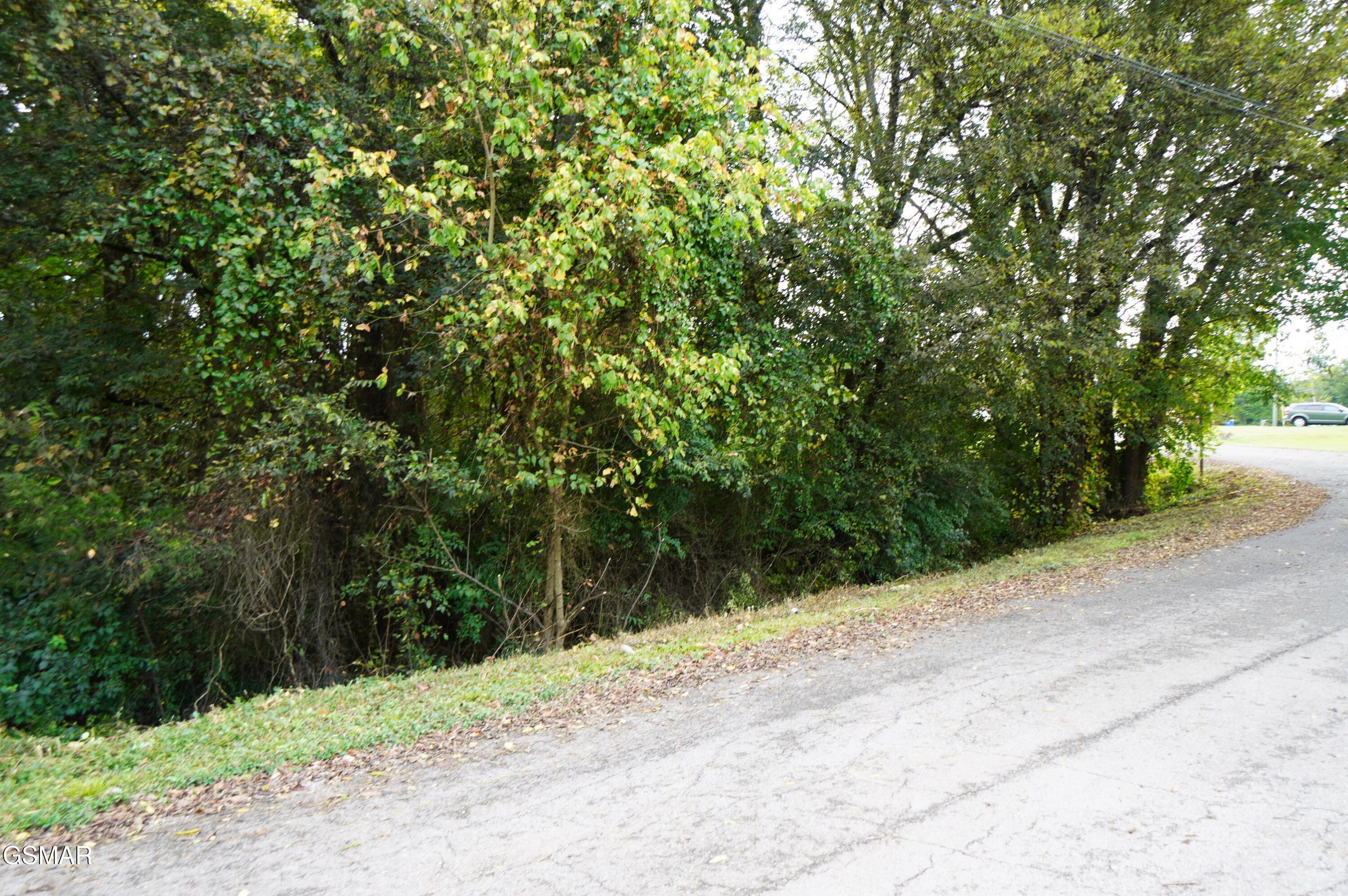 Lots 15 West View Drive Strawberry Plains TN 37871