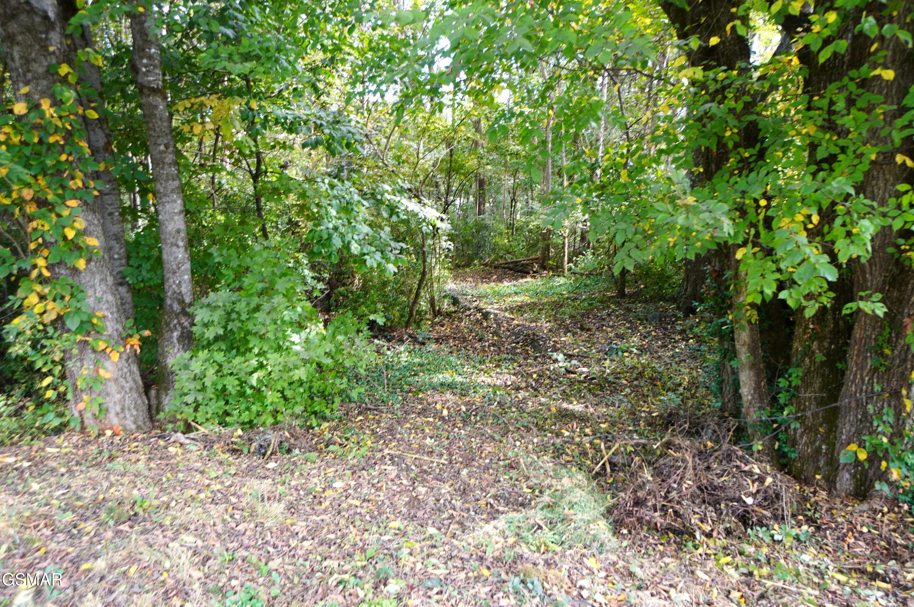 Lots 15 West View Drive Strawberry Plains TN 37871