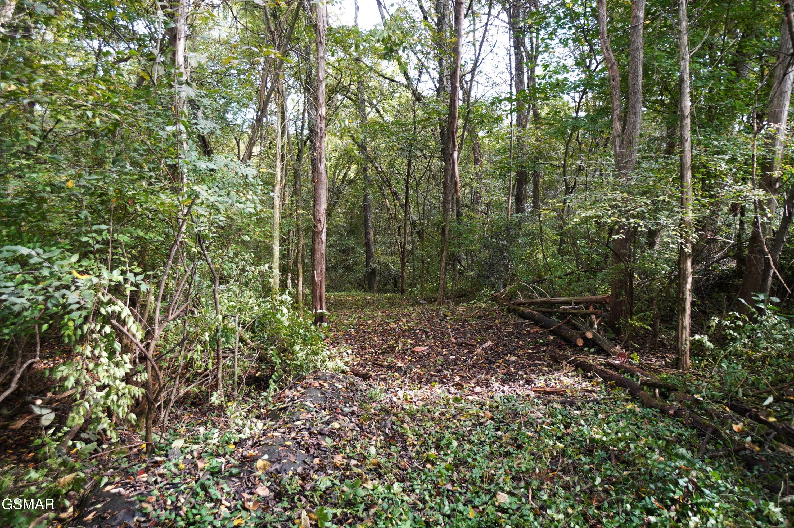 Lots 15 West View Drive Strawberry Plains TN 37871