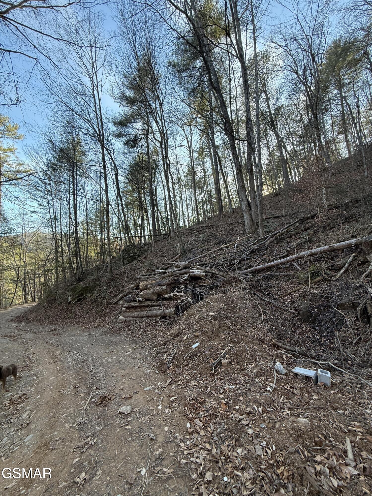 Lot 20 Meadow View Road Sevierville TN 37862
