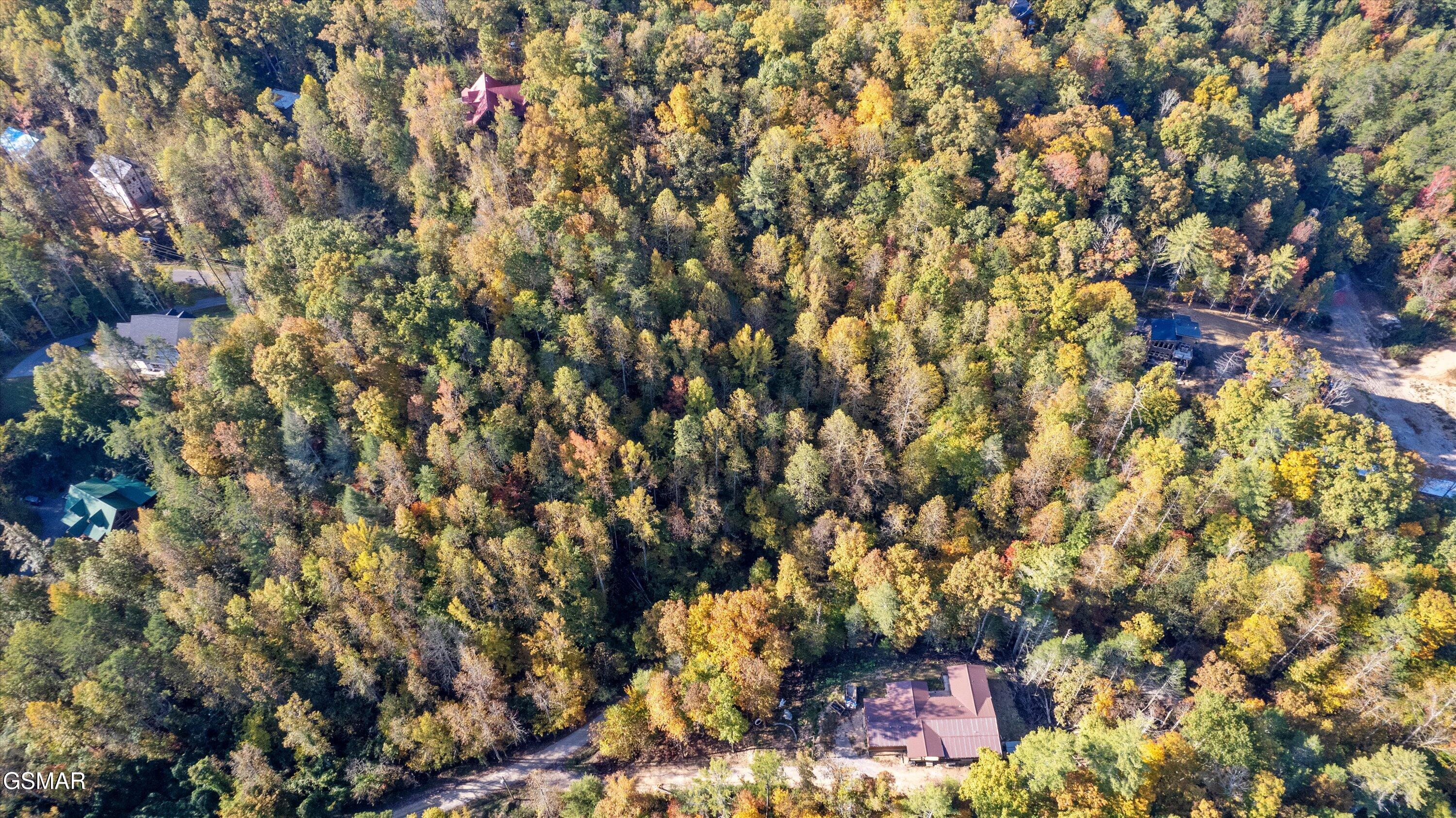 31 Sulpher Springs Way Sevierville TN 37862