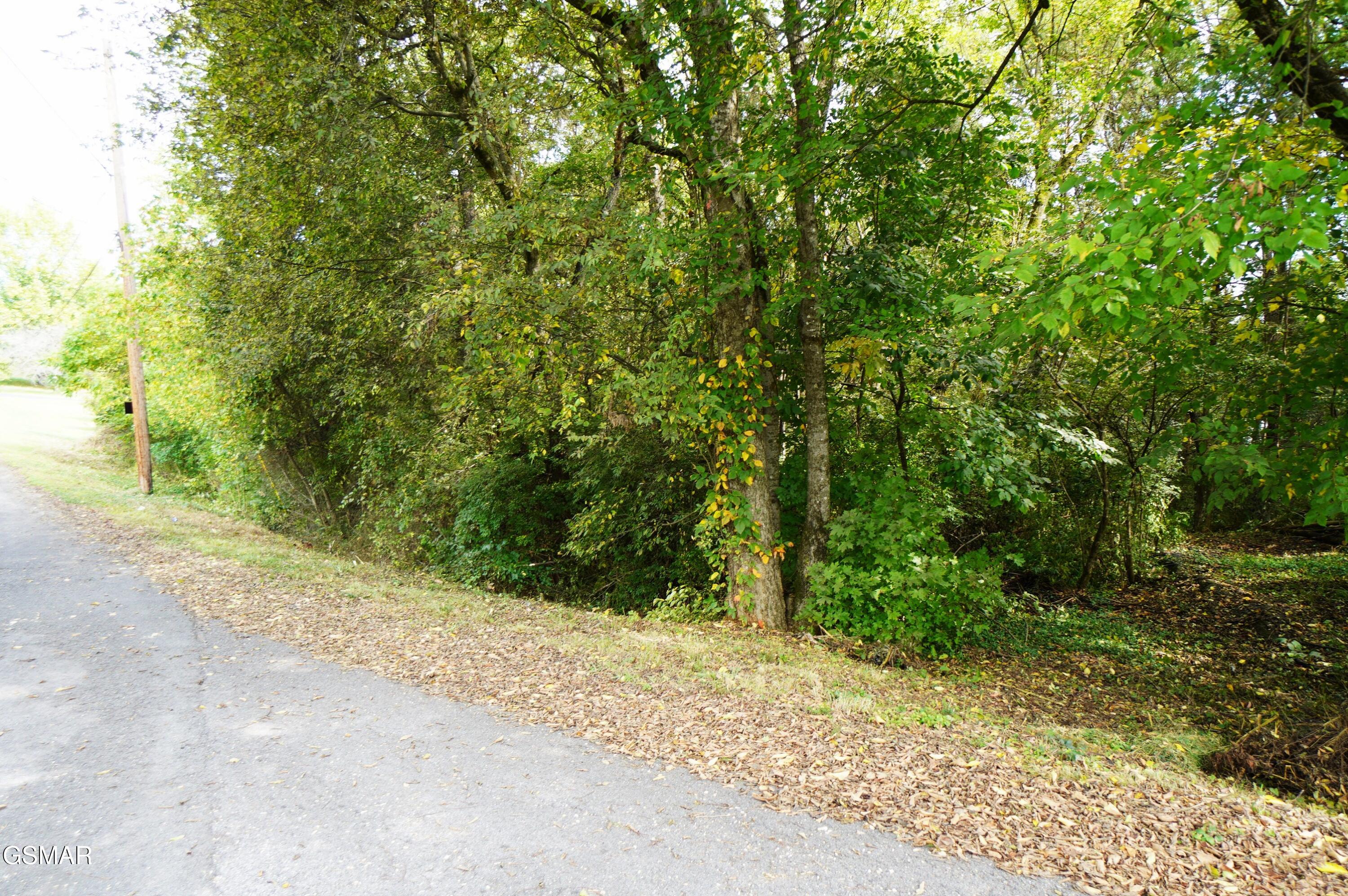 Lot 14 West View Drive Strawberry Plains TN 37871