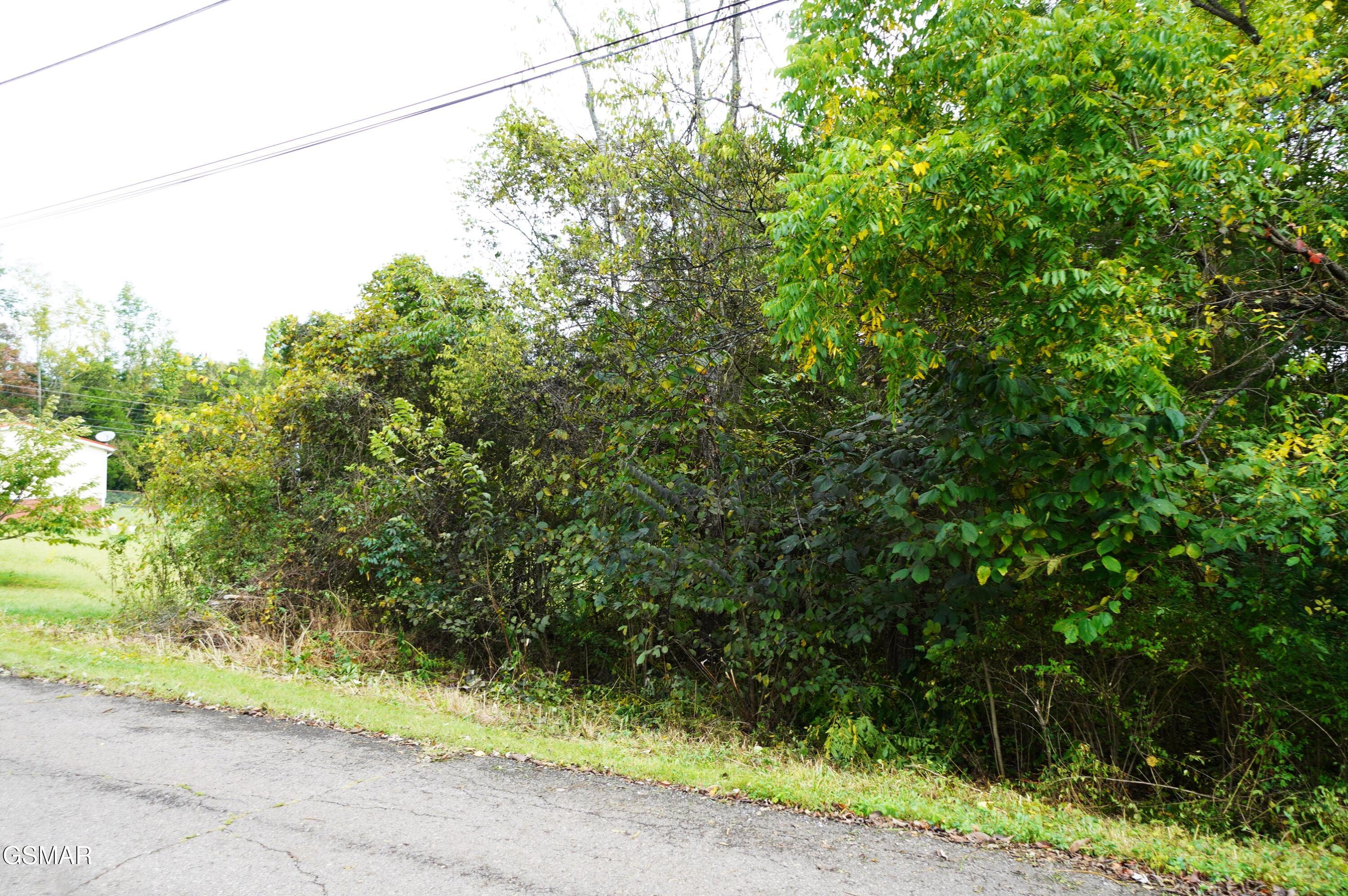 Lot 14 West View Drive Strawberry Plains TN 37871