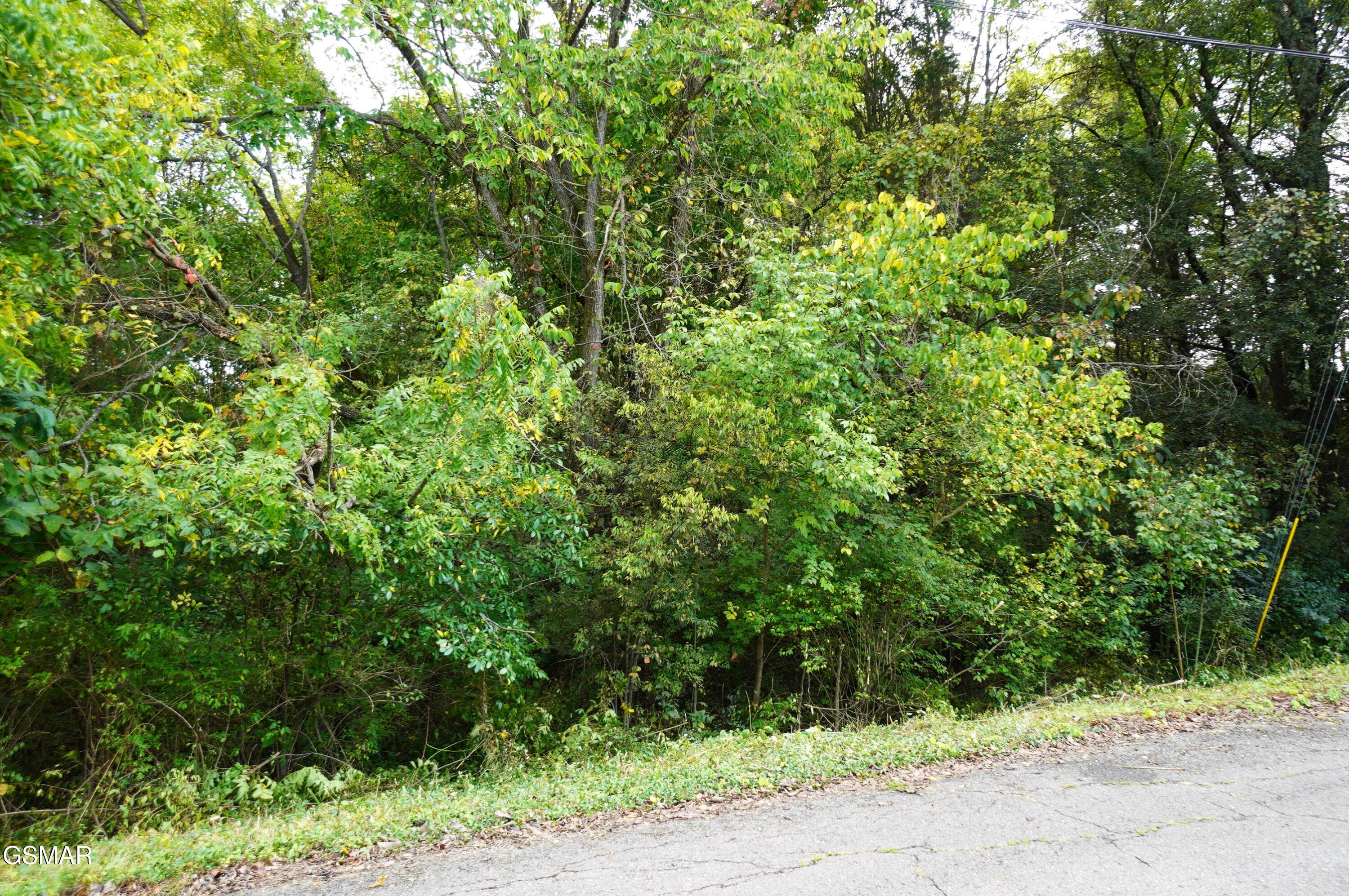 Lot 14 West View Drive Strawberry Plains TN 37871