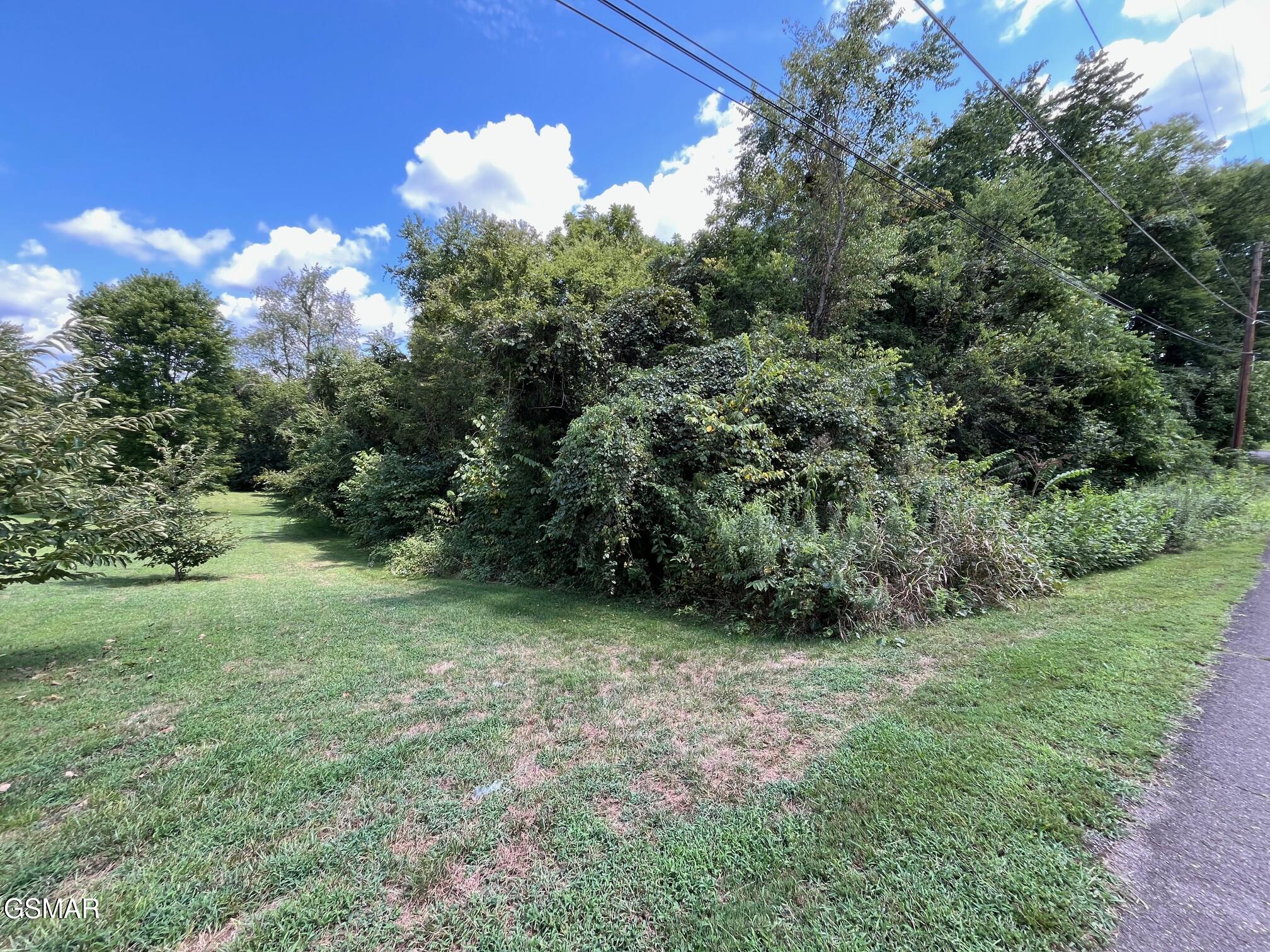 Lot 14 West View Drive Strawberry Plains TN 37871