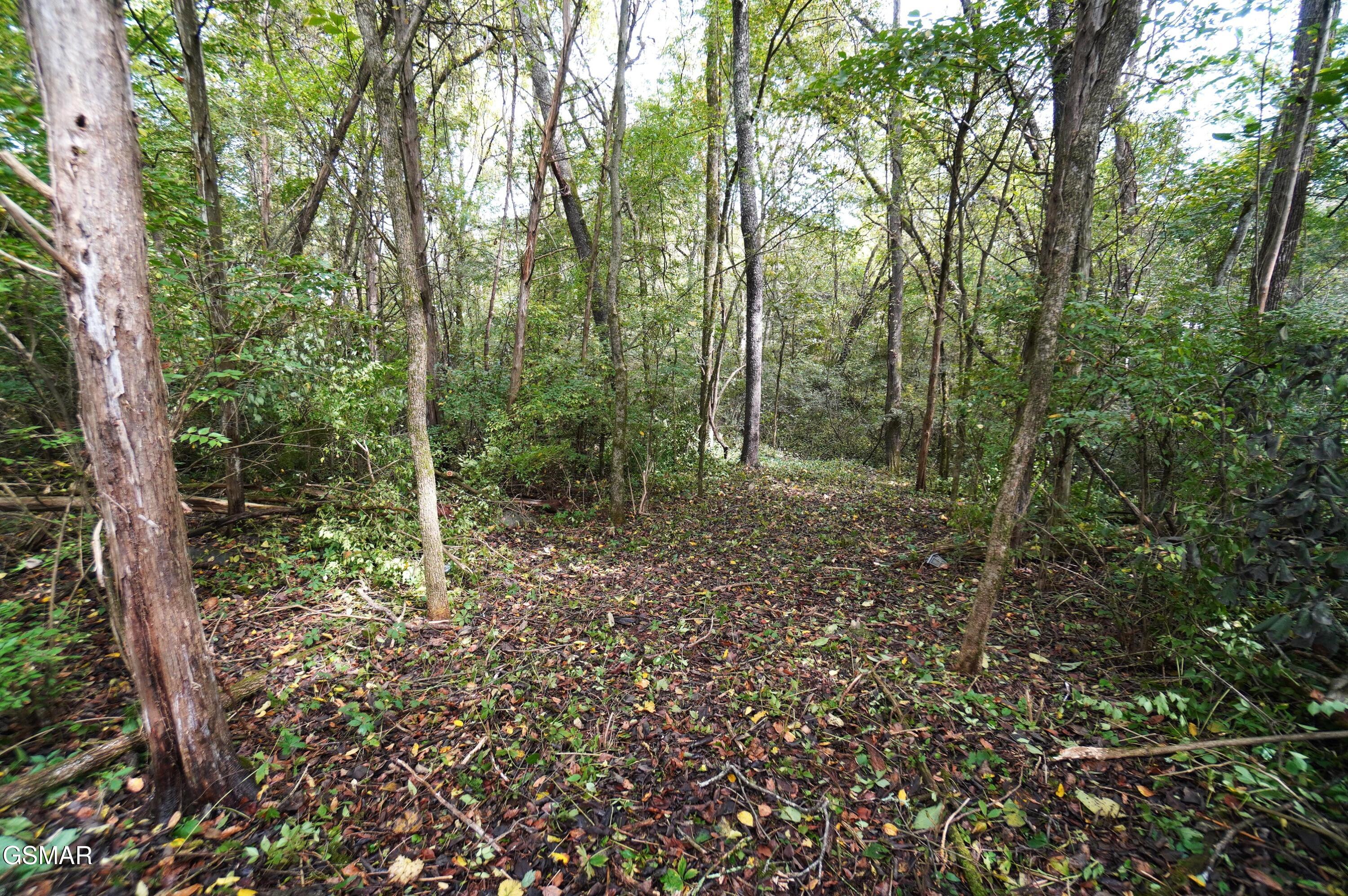 Lot 14 West View Drive Strawberry Plains TN 37871