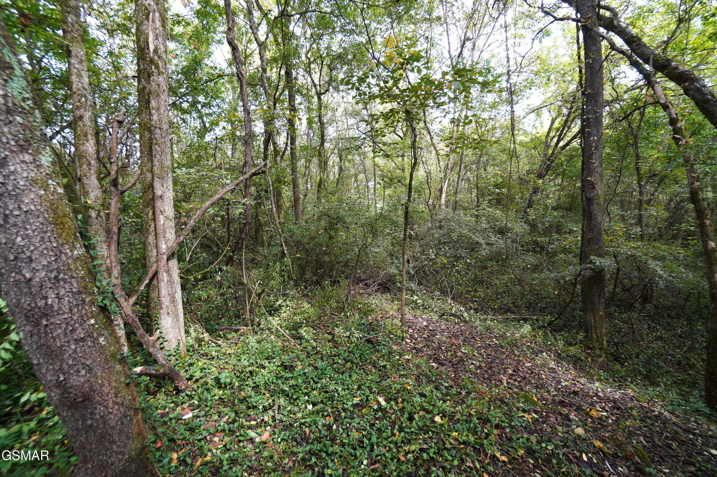 Lot 14 West View Drive Strawberry Plains TN 37871
